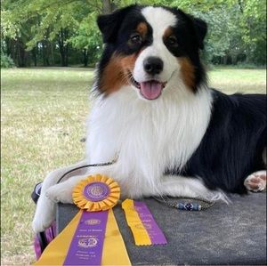 Meet your Posher, Julie